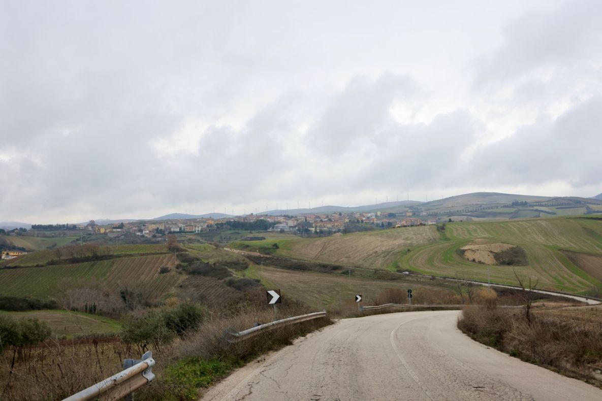 Image courtesy of Michele Masucci