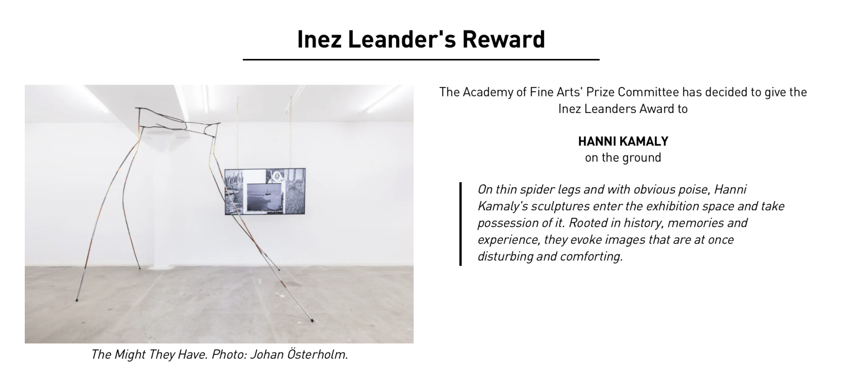 Hanni Kamaly awarded Inez Leander's Award