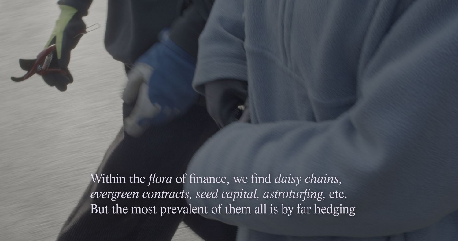 Still from The Flora: Hedging (a.k.a. hedge heist), Eline Benjaminsen and Dayna Casey, 2023