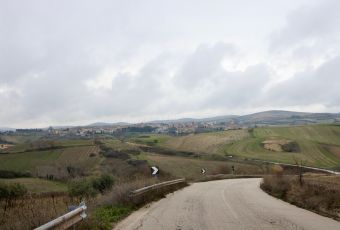 Image courtesy of Michele Masucci