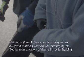 Still from The Flora: Hedging (a.k.a. hedge heist), Eline Benjaminsen and Dayna Casey, 2023